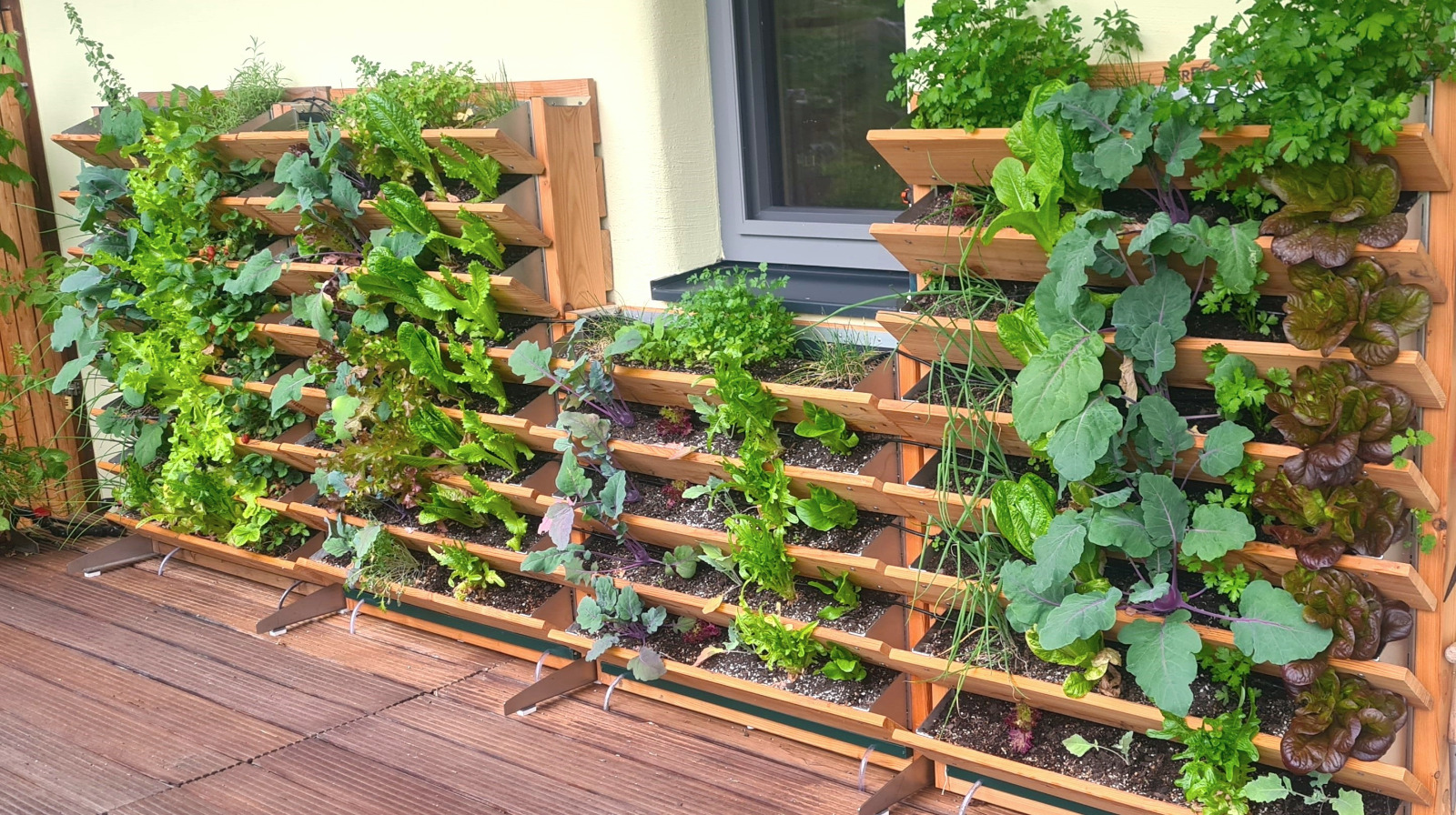 Garten 3 – Pflanzenkläranlage